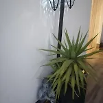 Laxuan Apartment *